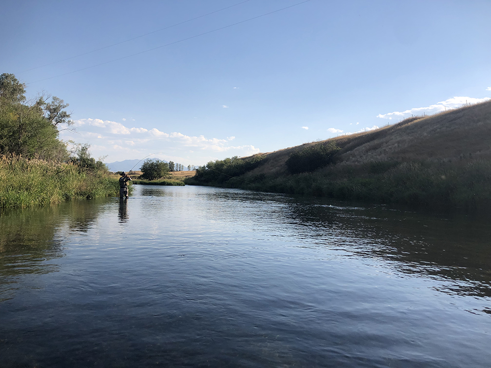 Livingston Montana Spring Creeks - Get Lost in America Fly Fishing