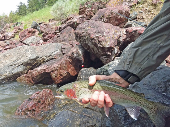 Fly Fishing Montana’s Gallatin River or get a great Yellowstone Cabin Rentals