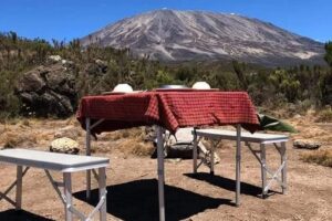 Adventure of a Lifetime Kilimanjaro Climb and Safari with Get Lost In America