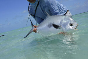 Bahamas Lost Key Lodge Fly Fishing Expeditions with a permit