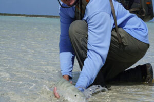 Bahamas Lost Key Lodge Fly Fishing Expeditions with a bonefish