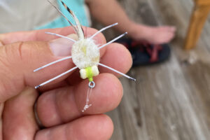 Bahamas Lost Key Lodge Fly Fishing Expeditions on of your favorite crab patterns