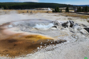 And the dance begins of water and steam in Biscuit Basin Yellowstone National Park with Get Lost in America your Yellowstone Cabin Rentals Experts and Montana Fly Fishing Guides Pros