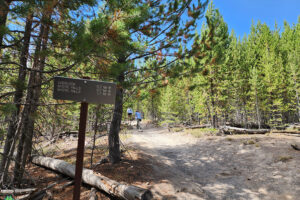 First split in trail, here's where you decide to hike the loop or just go to the falls leaving Biscuit Basin Yellowstone National Park