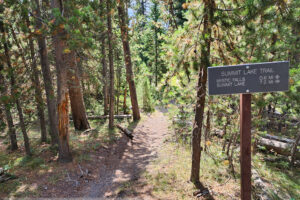 At this junction on the trail to Mystic Falls, you decide whether to go to Summit Lake 7.2 miles or continue to Mystic Fall in .06 miles. This trail is a section of the CDT. The trail leading to Summit Lake into Idaho and back into Montana to the northern terminus of the CDT.