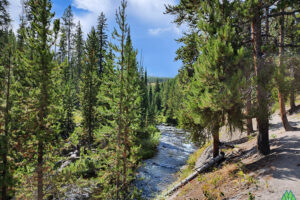 First views of the Little Firehole River