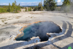 Surprise Pool is so very clear, it's amazing