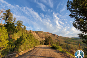 Fifty four mile journey on FS 211 Pike National Forest