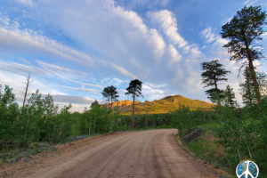 Forest Service Road 211 in Pike National Forest offers many destinations