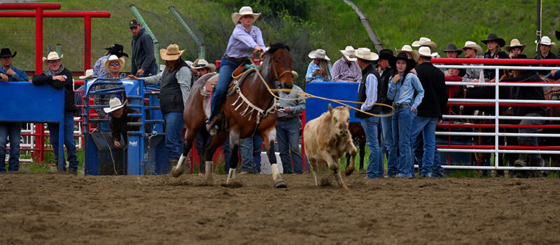 Montana High School Rodeo and Rodeo History