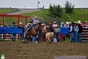 Montana - High School Rodeo - Get Lost in America -4 copy