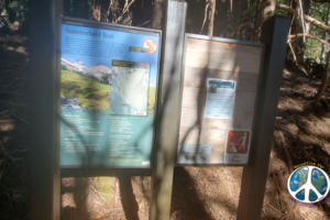 Starting a day adventure on the Wonderland Trail to Summerland Meadow. Trailhead is the Sunrise Road. Trail follows Frying Pan Creek up.