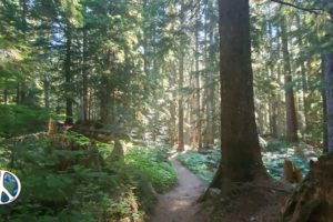 Sun is beginning to fill the shadows on the trail and throughout the valley floor