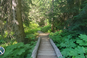 First bridged stream crossing on the trail