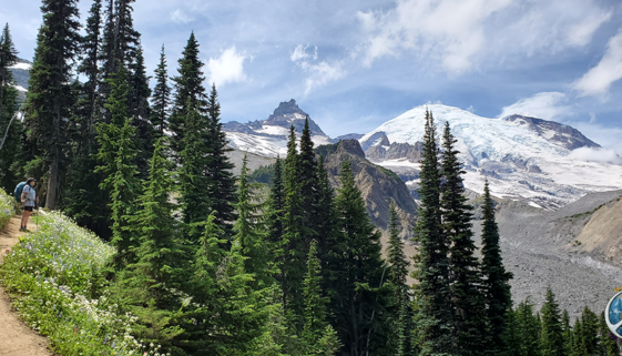 Wonderland Trail Mount Rainier in Mountain Mount Rainier National Park