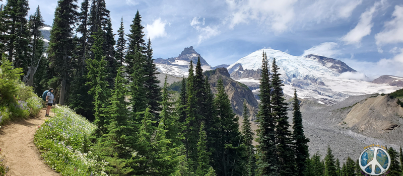 Wonderland Trail Mount Rainier in Mountain Mount Rainier National Park