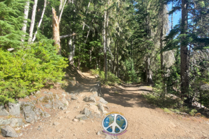 Starting to head up the mount Rainier from the valley floor at the switchback