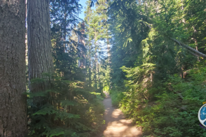 Mornings on a trail are some of life's best moments