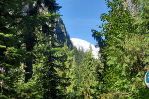 With each step Mount Rainier reveals a bit more of it's self