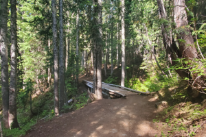 Second wood bridge over a creek on the trail