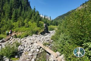 Wash coming down from Mount Rainier and bridge ahead