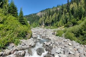 Looking up Frying Pan Creek