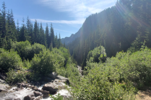 Looking Down Frying Pan Creek