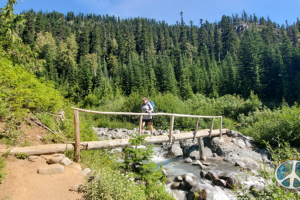 Backpacker on the foot bridge