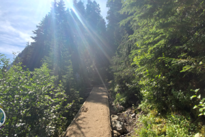 Starting Climb up to Summerland Meadow from Frying Pan Foot Bridge