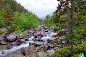 This stretch of West Rosebud Creek is very picturesque. We cross on a really nice bridge and leave the Northwest Energy Complex which is quite small in comparison to the energy it produces with very little foot print and impact.