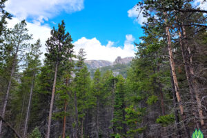 The peaks are are very interesting, a forest of granite Mystic Lake Montana