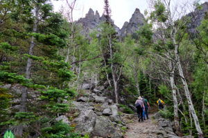 Diversity of the forest is great with Aspens along the trail as we climb Mystic Lake Montana