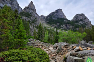 Behind the peaks is Froze to Death Plateau, in the winter I bet you would, too.