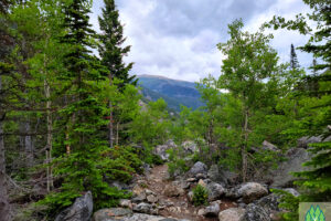 On up the Rocky Mountain Trail. The hikes in the Greater Yellowstone Ecosystem offer some true wilderness experiences from the park side and out of Cook City, Montana