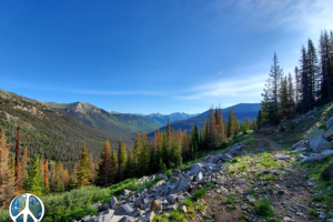 Views along Alpine trails are mesmerizing