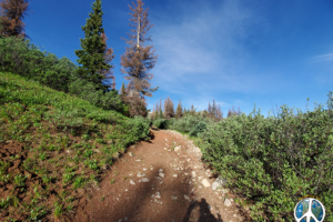 Trail rises up to the pass with a moderate elevation gain to the summit with Mount Arps to your left at 12,379 feet in elevation. Total elevation gain or down and up on this hike is 1,433 feet.