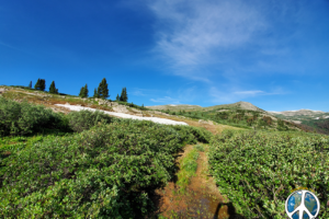 On past hikes I have seen wildlife on open ridges