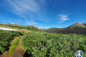 Cresting Williamson Pass the horizon opens up in a panoramic collage of color and beauty