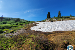 Diversity of terrain makes this trail so much fun to hike and we haven't even got to the cool stuff yet.