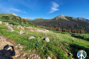 From Williams Pass San Isabel National Forest you haven't seen anything yet