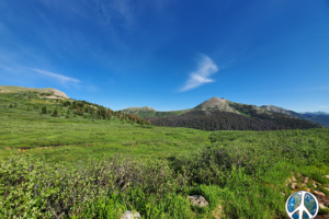 Williams Pass Colorado On the pass is a good size meadow. I was above it a month ago looking down with a herd of elk directly behind me and a coyote trotting below them up the draw