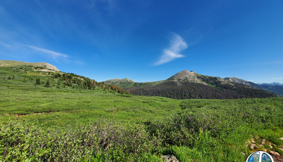 Williams Pass Colorado On the pass is a good size meadow. I was above it a month ago looking down with a herd of elk directly behind me and a coyote trotting below them up the draw