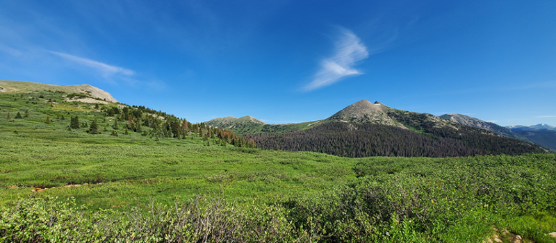 Williams Pass Colorado On the pass is a good size meadow. I was above it a month ago looking down with a herd of elk directly behind me and a coyote trotting below them up the draw