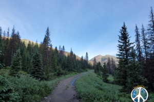 Alpine Tunnel Trail is wetter than I have seen it in the last 3 years I have been hiking this trail