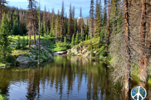 Holding pond at Sawmill curve on the Alpine Tunnel Trail