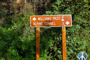 Junction of Williamson Pass and the Alpine Tunnel Trail, for Colorado Trail hikers Alpine trail is 3 miles shorter, Williamson Pass offers historic stops and incredible panoramic