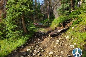 Up through the gate the trail makes a quick climb to a switch back as the climb become a steady slight incline to the pass