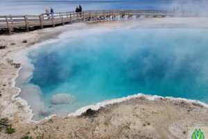 Took several shots of this black pool, it just mesmerized me