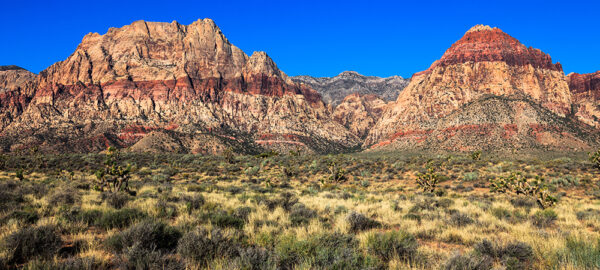 Red Rock Canyon Nevada across sage brush open space
