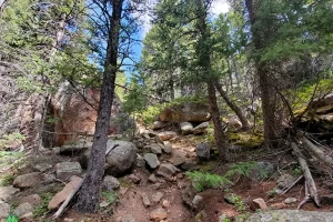 Climb to the upper meadow starts here, its fairly easy, few really cool rock formations